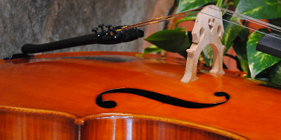 cello bridge settled