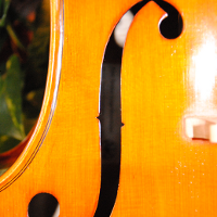 cello bridge
