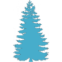 finest spruce