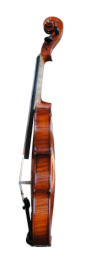 hegedű